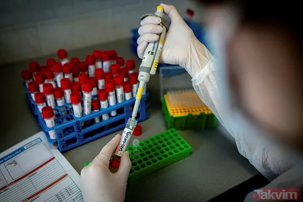 Koronavirüs aşısı ne kadar koruyacak? İlk açıklama geldi!