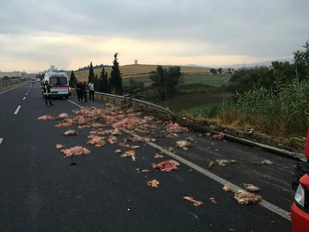 Kamyonet devrildi, kasasındaki sakatatlar yola saçıldı-1