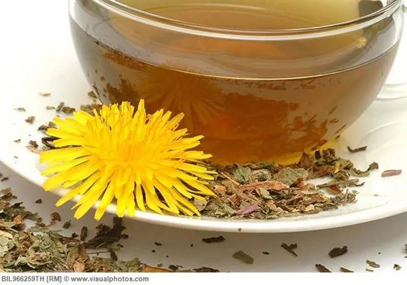 Temizlikçi karahindiba