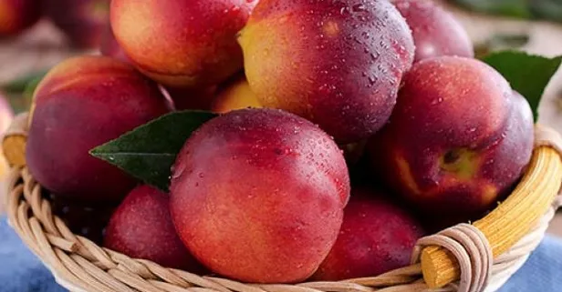 Nektarinin faydaları nelerdir? Nektari nelere iyi gelir? Nektarinin sağlığa ne gibi faydaları vardır?