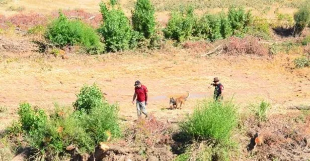 Selde kaybolan Asel’i kadavra köpekleri arıyor!