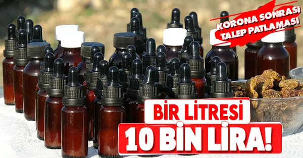 Koronavirüs sonrası talep patlaması! Bir litre propolis 10 bin liradan satılıyor!-1