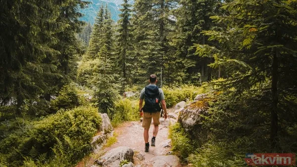 Stres Ve Bağışıklık Sistemi Arasındaki Bağlantı Stres Altındayken Vücut, "Savaş Ya Da Kaç" Tepkisini Başlatır. Böbrek Üstü Bezleri Kortizol Ve Adrenalin...