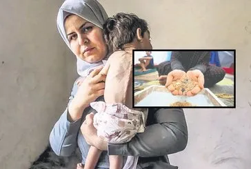 Gazze’de açlık krizi! Kumla karışan pirinçleri toplamak için mücadele verdiler