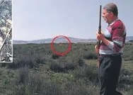 Çorumda jandarma ve avcılar, kayıp aslanı bulmak için harekete geçti