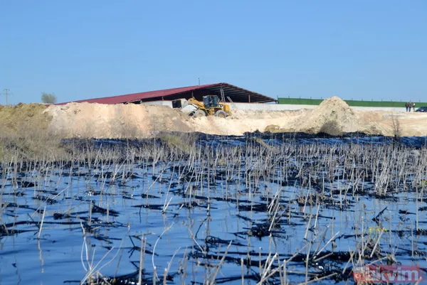 Edirne'de çevre katliamı! Tonlarca fuel oil 30 dekar alana ve dere yatağına yayıldı - 38