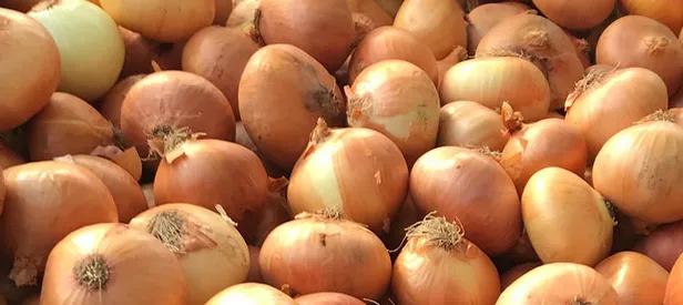 Soğan ithalatında önemli gelişme