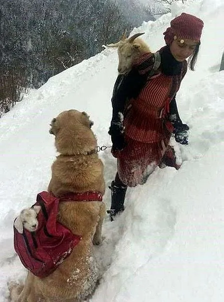 Cumhurbaşkanı Erdoğan'dan Hamdu Sena’ya davet-3