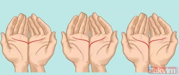 Kalp çizgisi böyleyse dikkat: El falına göre kişilik analizi! - 7