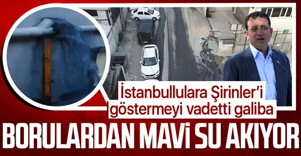 Esenyurt'ta mavi su bu defa sokaklara aktı! Mahalleli sokak köpeklerinin ölmesine isyan etti