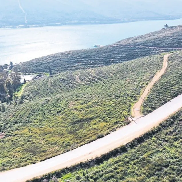 Hedef 10 milyar fidan