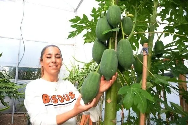 Paraya para demiyor! Bir sezonda kazandığı para dudak uçuklattı! İspanya'da tadına baktı Mersin'e getirdi!-3