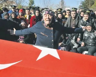 Tomurcuk güldü kopardılar