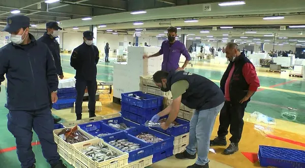 istanbulda-balik-haline-boy-yasagi-baskini-8-ton-795-kilogram-baliga-el-konuldu-1631170976265.jpg