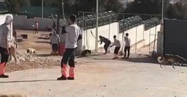 Tarım ve Orman Bakanlığından Konya’daki köpeğe eziyetle ilgili flaş açıklama: Titizlikle takip edilecek