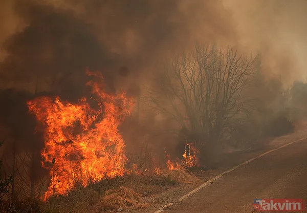 Yangından etkilenen vatandaşlar yaşadıkları dehşeti anlattı: Bir eşyam bile kalmadı! | Devletin ve milletin ellerine sağlık! - 11