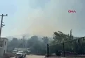 Bodrum'da maki yangını!