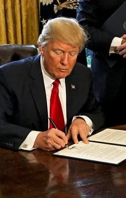 Trump’ın vize yasağı askıya alındı