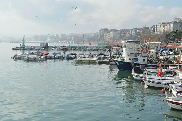 Marmara Denizi'nde 'kaykay' alarmı
