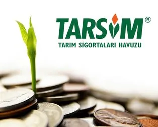 Azerbaycan’a TARSİM örneği
