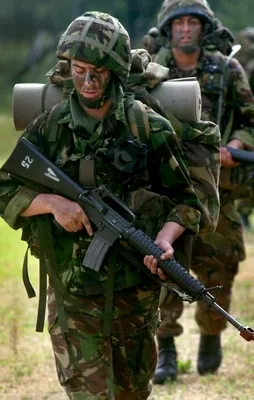 Terör örgütü PKK'ya göz açtırılmıyor