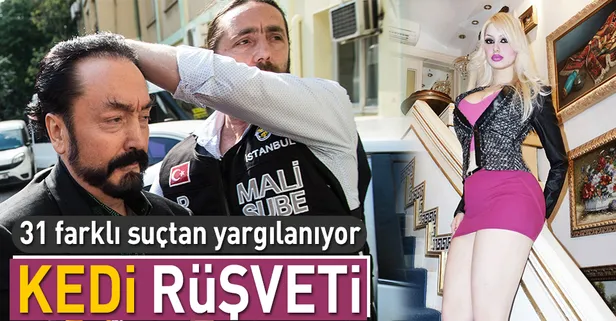 Dul 'kedi'n rüşveti