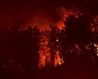 Trabzon Sürmene’de orman yangını!