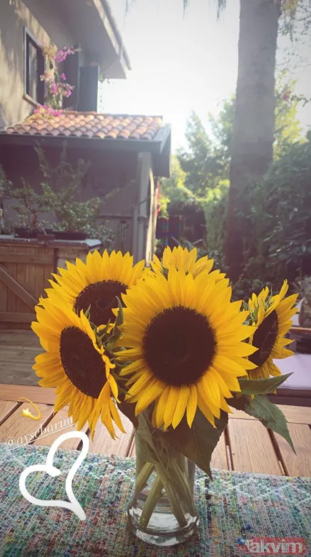 Kenan İmirzalıoğlu'nun hamile eşi Sinem Kobal evinin bahçesinden paylaştı! İşte Sinem ve Kenan'ın aşk yuvası... - 20