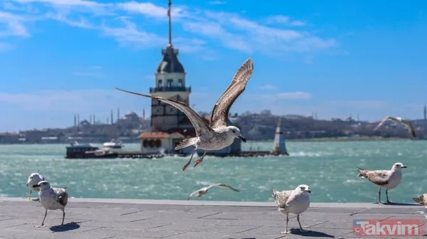 Yurt Genelinde Bölge Bölge Hava Nasıl? Marmara Bölge Genelinde Parçalı Ve Az Bulutlu Hava Hakim Olacak. Güneybatı Kesimlerinde Kuzey Ve Kuzeydoğu Yönlü Kuvvetli...