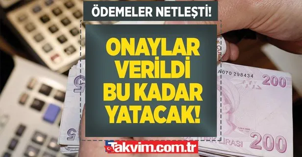 Ödemeler netleşti! Emeklilerin beklediğine değecek haber duyuruldu! Onaylar verildi bu kadar yatacak!