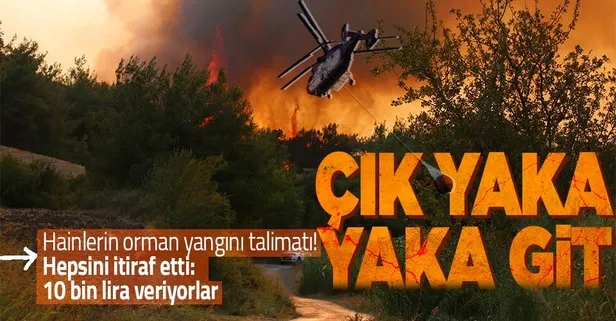 Terör örgütü PKK’dan orman yangını talimatı! 10 bin liralık katliam! Yaka yaka gidin