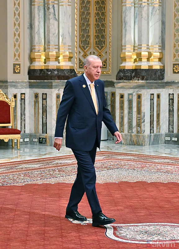 Kahire'de D-8 zirvesi! Sisi ve liderler Başkan Erdoğan'ı ayakta karşıladı - 11