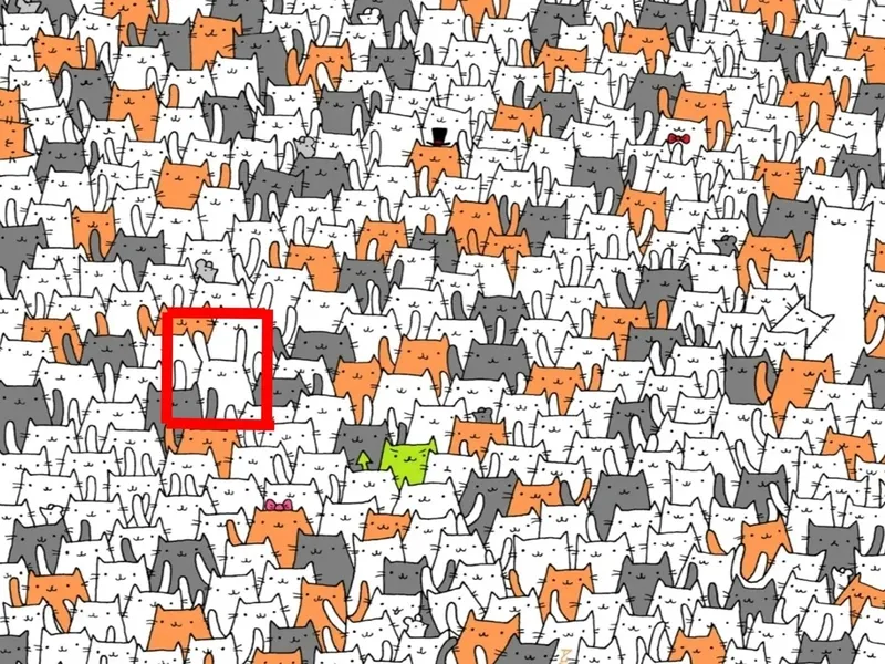 zeka-testi-kedilerin-arasindaki-tavsan-nerede-258-kisiden-sadece-13u-basariyi-kapti-1723813106217.jpg Zeka testi: Kedilerin arasındaki tavşan nerede? 258 kişiden sadece 13'ü başarıyı kaptı-5