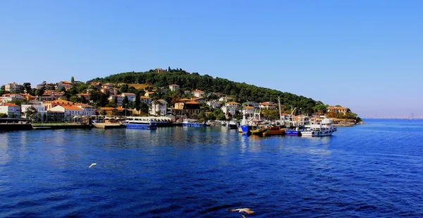 Kiralar yüzde 70 arttı boş ev kalmadı: Adalar'a ilgi, pandemide daha da arttı-4