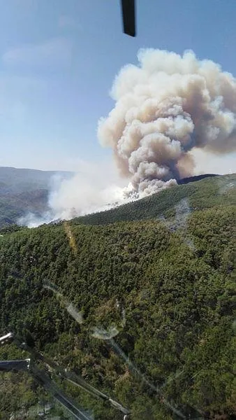 Son dakika haberi: Muğla Milas'ta orman yangını!