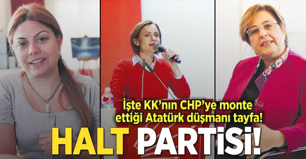 Halt partisi