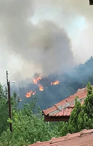Hatay'da orman yangını
