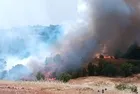 Malatya ve Bolu'da orman yangını alarmı! Pütürge'de yangın kontrol altında, Göynük'te müdahale sürüyor