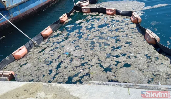 SON DAKİKA: Marmara Denizi için büyük tehlike! Deniz hala soğumadı müsilaj tehlikesi devam ediyor - 34