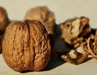 Cevizle dişler keskin