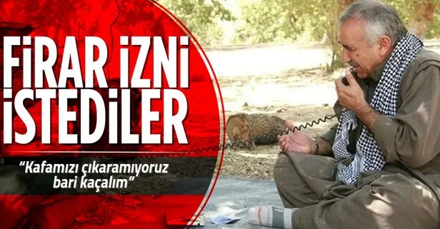 PKK’daki çözülme raporlarda! Firar izni istediler