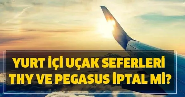 Hangi Illere Ucus Var Yurt Ici Ucak Seferleri Takvim