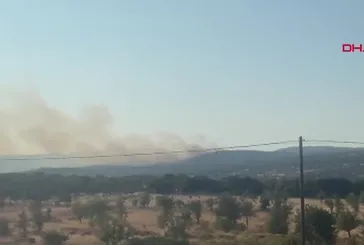 Çanakkale Ayvacık'ta orman yangını!