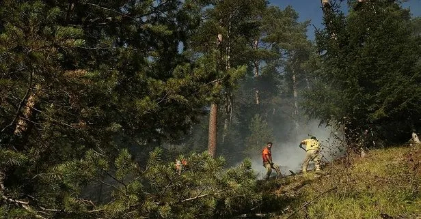 Kastamonu'daki yangınlar kontrol altına alındı