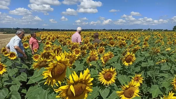 trakyadan-sonra-samsun-bafrada-da-tirtil-goruldu-ciftciler-alarma-gecti-1659075759887.jpg Trakya'dan sonra Samsun Bafra'da da tırtıl görüldü! Çiftçiler alarma geçti-4