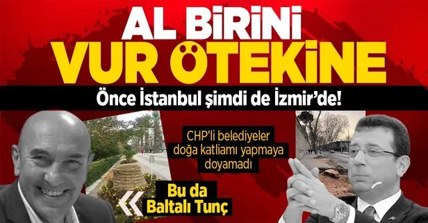 CHP’li belediyeler ağaç katliamına doymuyor! İBB’den sonra İzmir’de 15 palmiye ağacı yok edildi