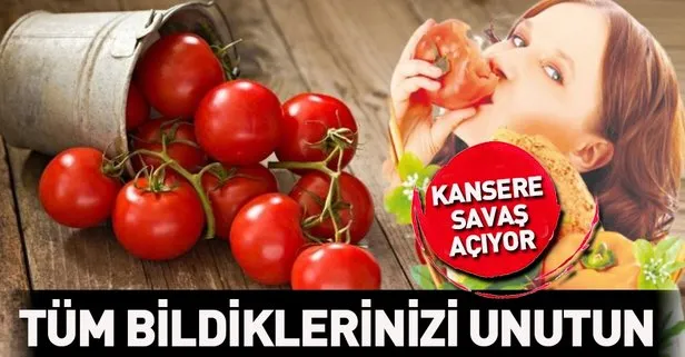 Egzamaya kırmızı ışık