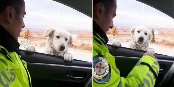 Dışişleri Bakanı Mevlüt Çavuşoğlu'ndan kritik toplantı (Güncel haberler)-4
