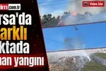 Bursa’da 3 farklı noktada orman yangını