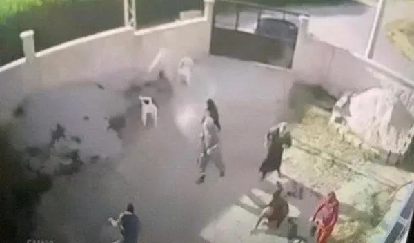 Son dakika: Konya'da 7 kişinin ölümüne neden olan cani Mehmet Altun için istenen ceza belli oldu-2